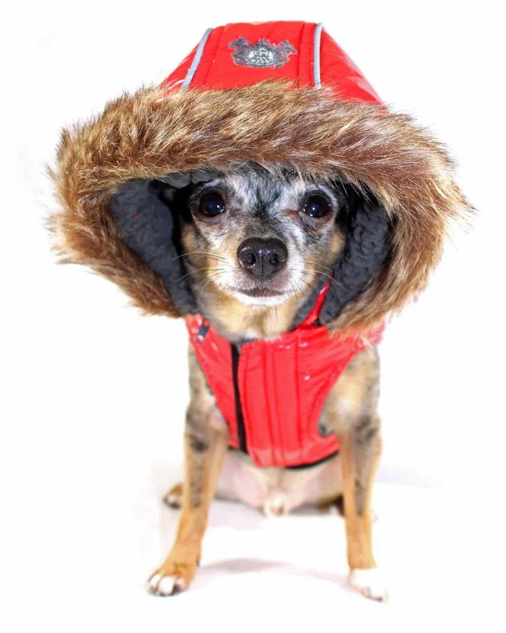 RED ELITE REFLECTIVE DOG COAT PUFFER