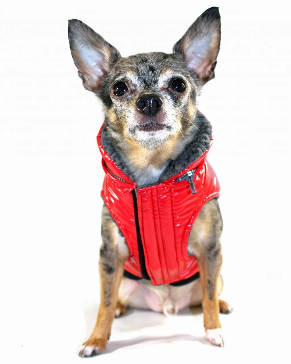 RED ELITE REFLECTIVE DOG COAT PUFFER